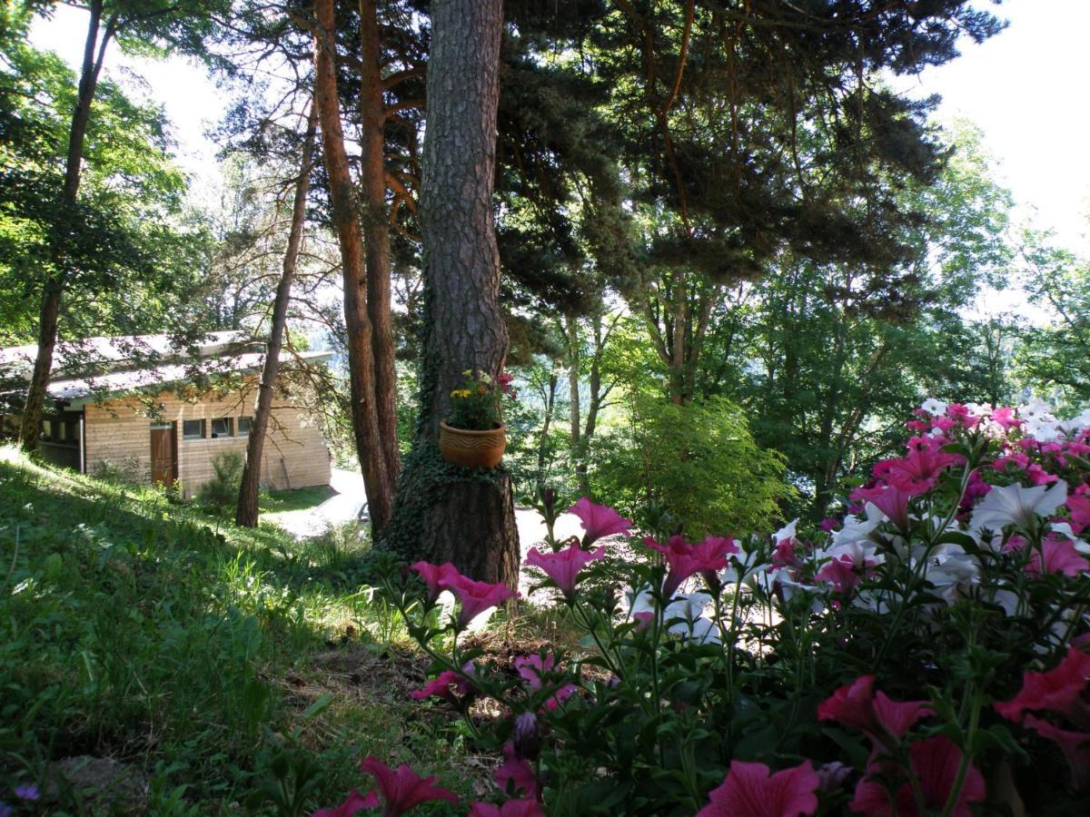 Le Grand Val Bed and Breakfast Lavastrie Eksteriør billede